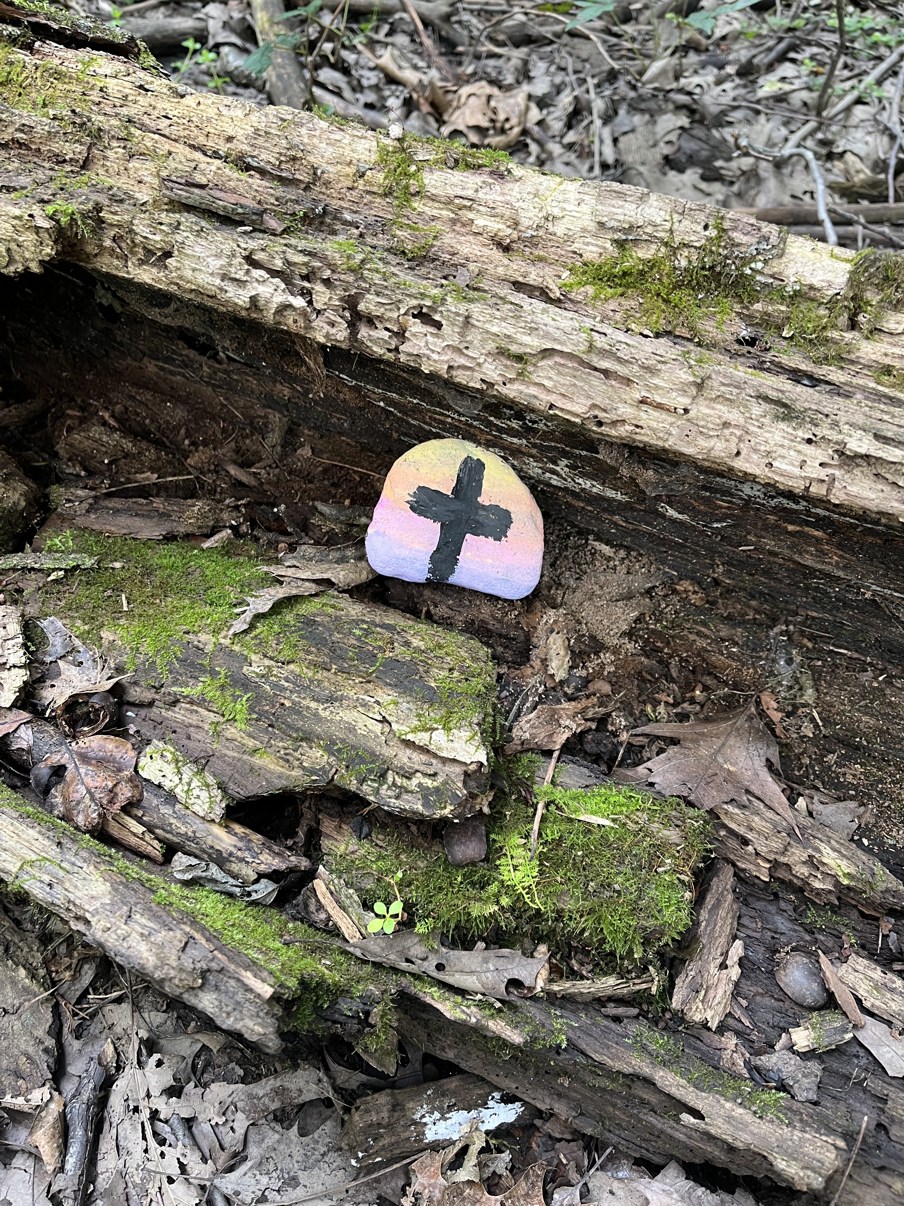Finding the Hidden Treasure